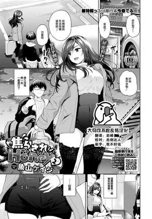 [Totoyama Keiji] Jirasare Honey 2 (COMIC BAVEL 2025-02) [Chinese] [大鸟可不敢乱转汉化] [Digital]